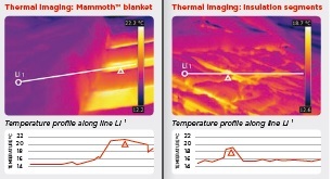 Thermal-images.jpg#asset:570