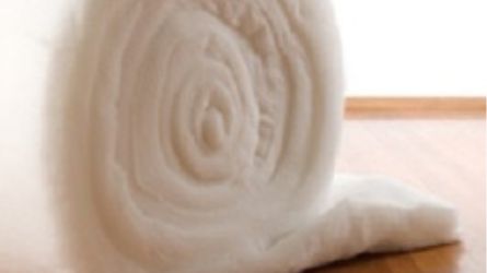 Ceiling Insulation 1