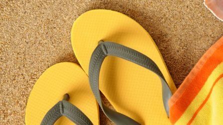 Summer Teaser