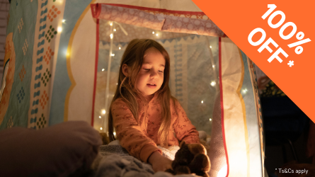 Warmer Kiwi Homes Subsidies