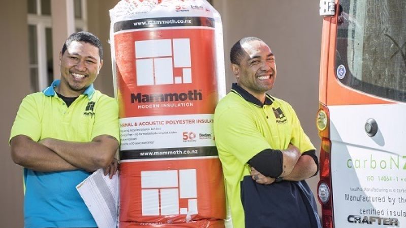 Installers With Mammoth At House class=