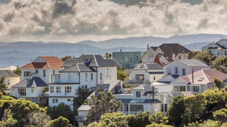 Wellington Houses 1000