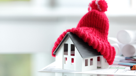 Website Teasers 445 X 250 24