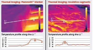 Thermal-images.jpg#asset:570